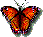 clipbutterfly.gif (5253 bytes)